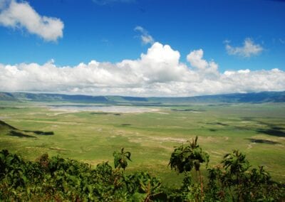 Tanzania Bush Adventure (Silver)