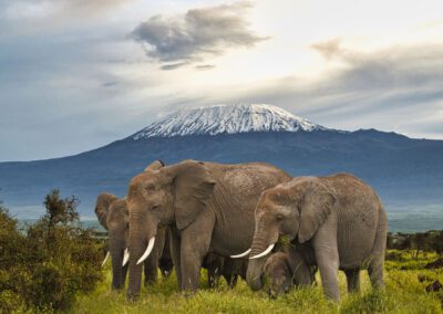 Grand Kenya & Tanzania Experience (Silver)