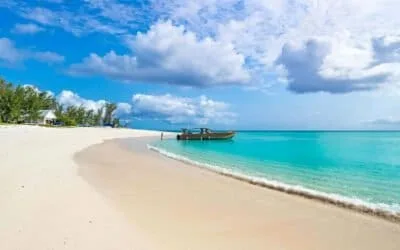 Tanzania Bush & Beach Holiday (Gold)